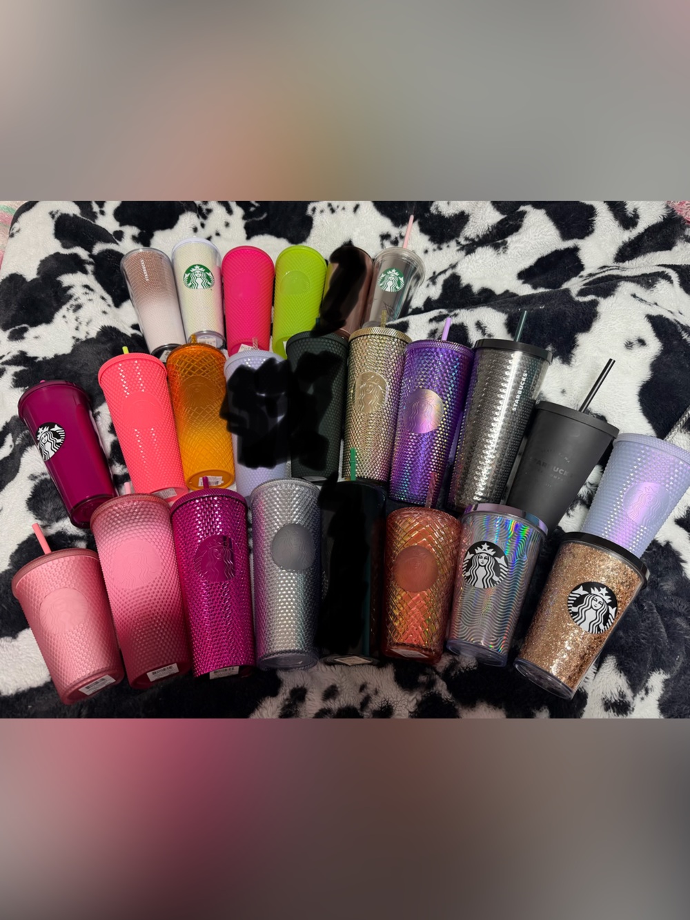 Starbucks Multi-Color Studded Tumbler Collection - Assorted Colors